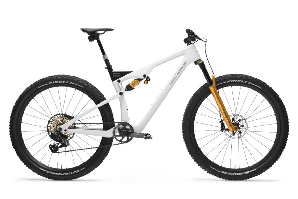 Von Hand gefertigtes Allebike Alpha Polestar Edition Mountainbike